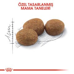 Royal Canin Kısırlaştırılmış Kedi Maması 15 Kg